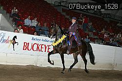 07Buckeye_1528 thumbnail