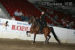 07Buckeye_1535 thumbnail