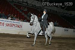 07Buckeye_1539 thumbnail