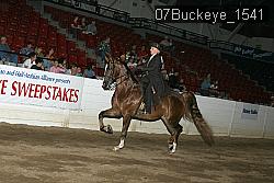 07Buckeye_1541 thumbnail