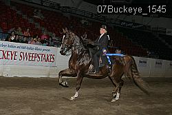 07Buckeye_1545 thumbnail