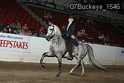 07Buckeye_1546 thumbnail