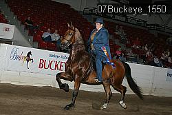 07Buckeye_1550 thumbnail