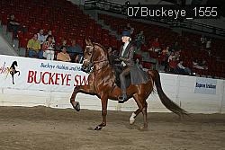 07Buckeye_1555 thumbnail
