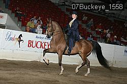 07Buckeye_1558 thumbnail