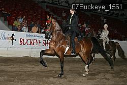 07Buckeye_1561 thumbnail