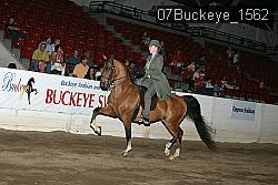 07Buckeye_1562 thumbnail