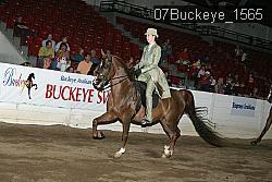 07Buckeye_1565 thumbnail