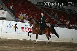 07Buckeye_1574 thumbnail