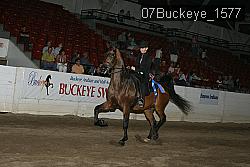 07Buckeye_1577 thumbnail