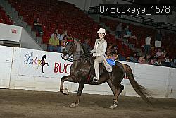 07Buckeye_1578 thumbnail