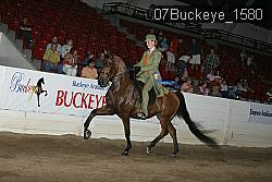 07Buckeye_1580 thumbnail