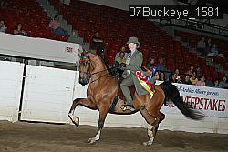 07Buckeye_1581 thumbnail