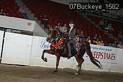 07Buckeye_1582 thumbnail