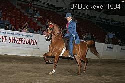 07Buckeye_1584 thumbnail