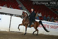 07Buckeye_1586 thumbnail