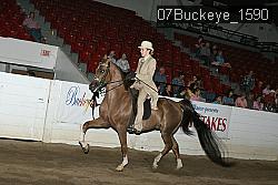 07Buckeye_1590 thumbnail