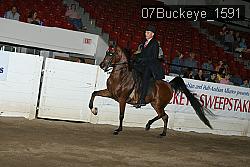 07Buckeye_1591 thumbnail