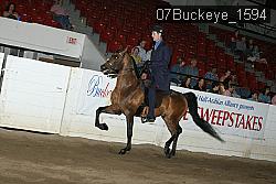 07Buckeye_1594 thumbnail