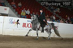 07Buckeye_1597 thumbnail