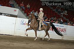 07Buckeye_1599 thumbnail