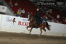 07Buckeye_1601 thumbnail