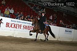 07Buckeye_1602 thumbnail