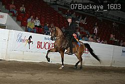 07Buckeye_1603 thumbnail