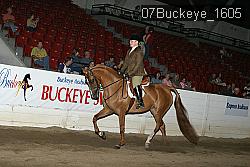 07Buckeye_1605 thumbnail