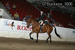 07Buckeye_1606 thumbnail