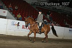 07Buckeye_1607 thumbnail