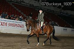 07Buckeye_1609 thumbnail