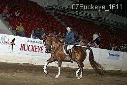 07Buckeye_1611 thumbnail