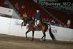 07Buckeye_1612 thumbnail