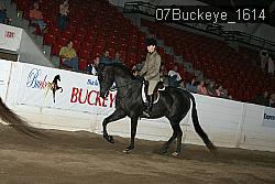 07Buckeye_1614 thumbnail