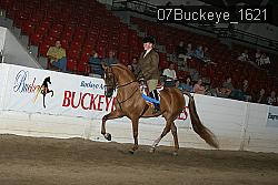 07Buckeye_1621 thumbnail