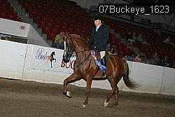 07Buckeye_1623 thumbnail