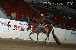 07Buckeye_1626 thumbnail