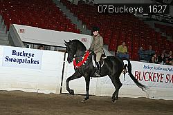 07Buckeye_1627 thumbnail