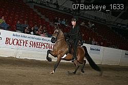 07Buckeye_1633 thumbnail