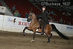 07Buckeye_1637 thumbnail