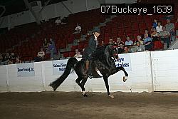 07Buckeye_1639 thumbnail