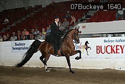 07Buckeye_1640 thumbnail