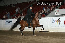 07Buckeye_1641 thumbnail