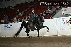 07Buckeye_1642 thumbnail