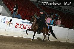 07Buckeye_1646 thumbnail