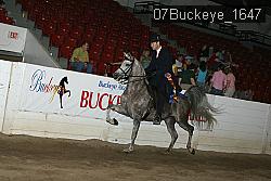 07Buckeye_1647 thumbnail