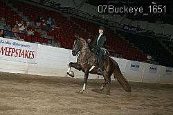 07Buckeye_1651 thumbnail