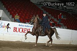 07Buckeye_1652 thumbnail