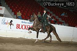 07Buckeye_1653 thumbnail